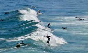 Want to celebrate the quasi holiday on Sept. 20? Here's a few ideas for California Surfing Day, now in its fifth year. 