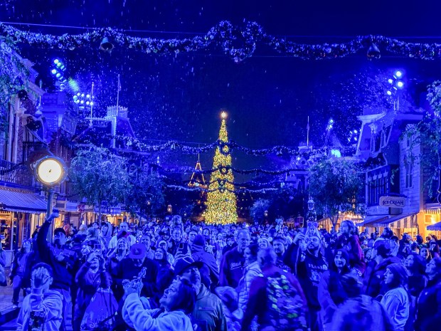 The annual Disneyland Christmas tree stands in Town Square at the foot of Main Street U.S.A. inside Disneyland in Anaheim, CA, on Friday, November 11, 2022. (Photo by Jeff Gritchen, Orange County Register/SCNG)
