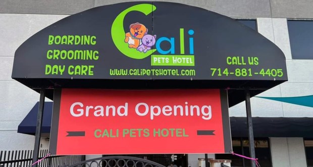 The pet kennel and spa franchise Cali Pets Hotel has opened in Anaheim Hills. The business offers daycare, boarding, grooming (and styling) for your dogs and cats. (Photo courtesy of Cali Pets Hotel)
