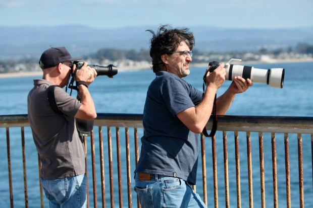 Photographer Mark Woodward and San Jose State University environmental studies professor Dustin Mulvaney use their long camera lenses to look for infamous Otter 841 at Lighthouse Point in Santa Cruz, Calif. on Wednesday, October 25, 2023 (Ethan Baron/Bay Area News Group)