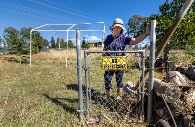 Nearly five years after Joan Ellison lost her home in Paradise to the deadly Camp Fire, a fence gate and a garden trellis remain in her still vacant lot. Soaring construction costs and insufficient PG&E settlement funds have delayed her plans to rebuild. (Karl Mondon/Bay Area News Group)